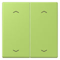 Jung LC102P221 Wippe m.Pfeilsymbolen f.KNX Taster 2
