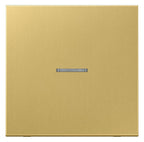 Jung ME2990KO5C Wippe Lichtleiter LS Messing classic