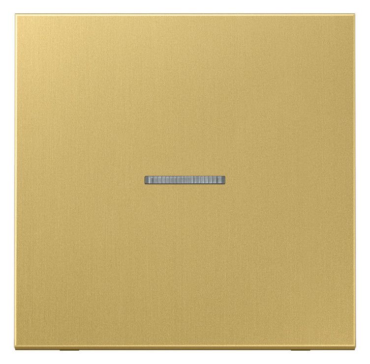 Jung ME2990KO5C Wippe Lichtleiter LS Messing classic