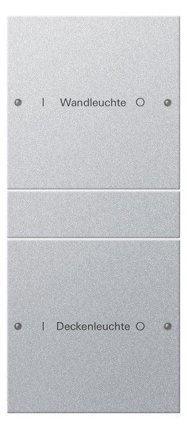 GIRA 220226 Wippenset 2fach (1+1) beschreib. System 55 Farbe Alu (lack.)