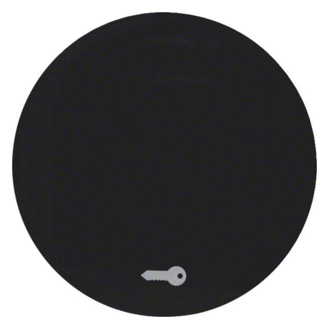 Berker 16202015 Wippe m.Aufdruck Symbol Tür R.1/R.3 schwarz glänzend
