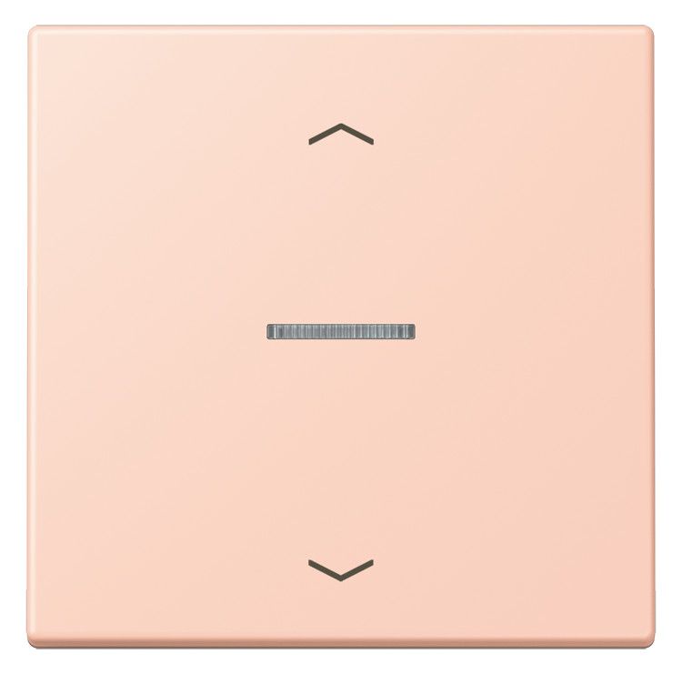 Jung LC101KO5P234 Wippe m.Lichtleiter u. Pfeilsymbolen