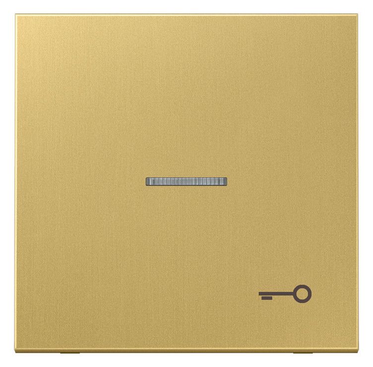Jung ME2990KO5TC Wippe Sysmbol Tür m.Lichtleiter LS Messing classic