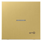Jung ME2990KO5TC Wippe Sysmbol Tür m.Lichtleiter LS Messing classic
