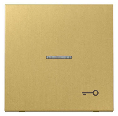 Jung ME2990KO5TC Wippe Sysmbol Tür m.Lichtleiter LS Messing classic