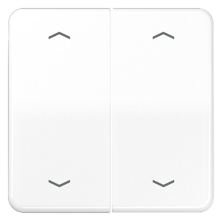 Jung CD102PWW Wippe f.Serientasterpfeile