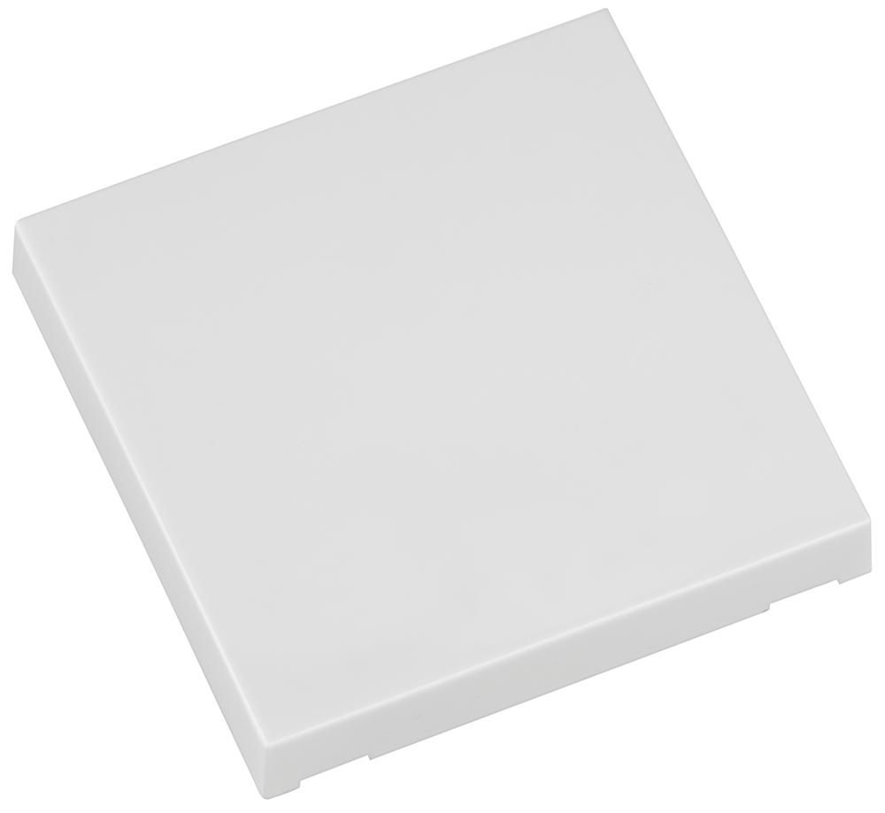 ELDAT RTS22-ACC-02-02P Wippe EIN/AUS Format 55 weiß für Wandsender RTS22