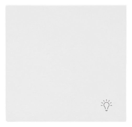 BJ 2520 LI-44G Wippe geschlossen m.Symbol "Licht"