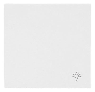 BJ 2520 LI-44G Wippe geschlossen m.Symbol "Licht"