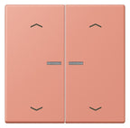 Jung LC102KO5P233 Wippe m.Lichtleiter u. Pfeilsymbolen
