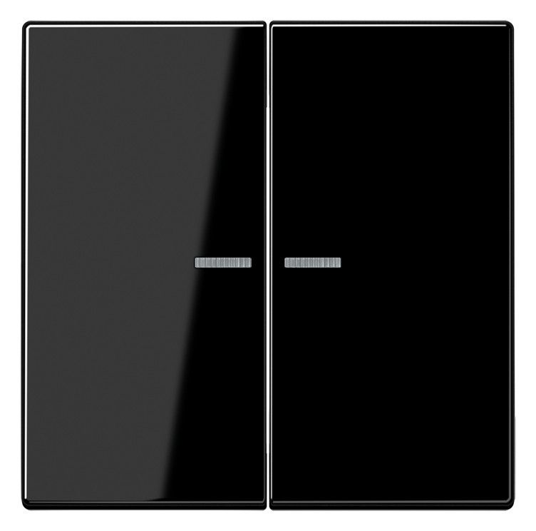 Jung LS995KO5SW Wippe Serienschalter m.Lichtleiter schwarz