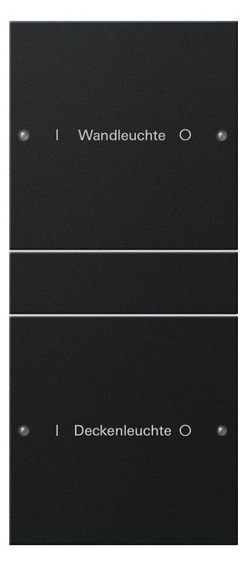 GIRA 2202005 Wippenset 2fach (1+1) beschreib. System 55 Schwarz matt(lack.)