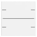GIRA 575227 Wippenset 2fach Tastsensor4 System 55 Reinweiß seidenmatt