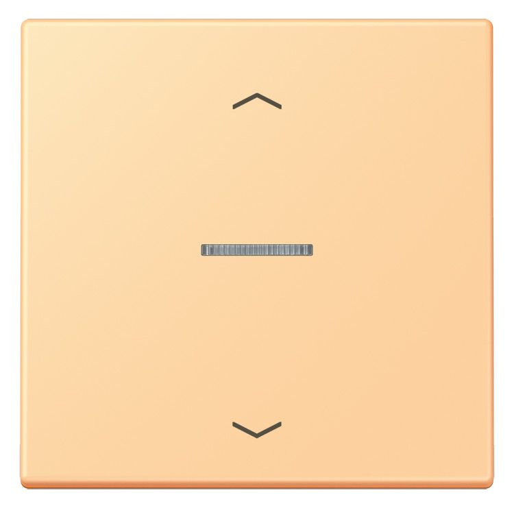 Jung LC101KO5P258 Wippe m.Lichtleiter u. Pfeilsymbolen