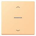 Jung LC101KO5P258 Wippe m.Lichtleiter u. Pfeilsymbolen