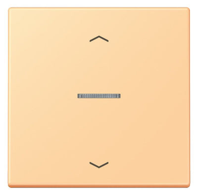 Jung LC101KO5P258 Wippe m.Lichtleiter u. Pfeilsymbolen