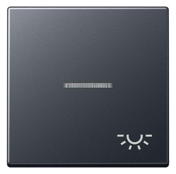 Jung A590BFKO5LANM Wippe Symbol Licht m.Lichtleiter Serie A anthrazit matt