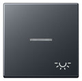 Jung A590BFKO5LANM Wippe Symbol Licht m.Lichtleiter Serie A anthrazit matt