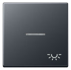 Jung A590BFKO5LANM Wippe Symbol Licht m.Lichtleiter Serie A anthrazit matt