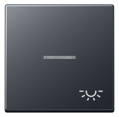 Jung A590BFKO5LANM Wippe Symbol Licht m.Lichtleiter Serie A anthrazit matt