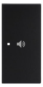 BJ 6237-22-45M Wippe 2-fach rechts Symbol "Volume"