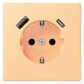 Jung LC1520-15CA258 SCHUKO-Steckd.m.USB Typ AC LC4320P