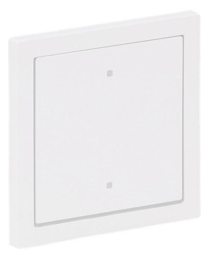 BJ 2570-10-44G Wippe f.Elektroniktaster 1-fach