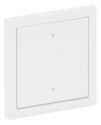 BJ 2570-10-44G Wippe f.Elektroniktaster 1-fach