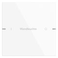 GIRA 5031903 Wippenset 1fach indiv. Tastsensor4 TS4 Alu Reinweiß gl.(lack.)