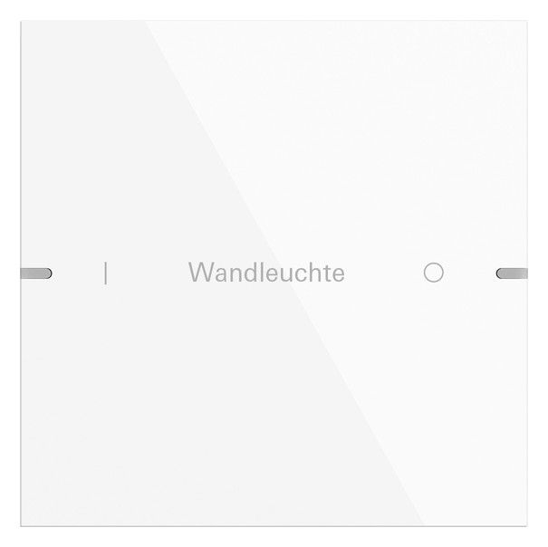 GIRA 5031903 Wippenset 1fach indiv. Tastsensor4 TS4 Alu Reinweiß gl.(lack.)