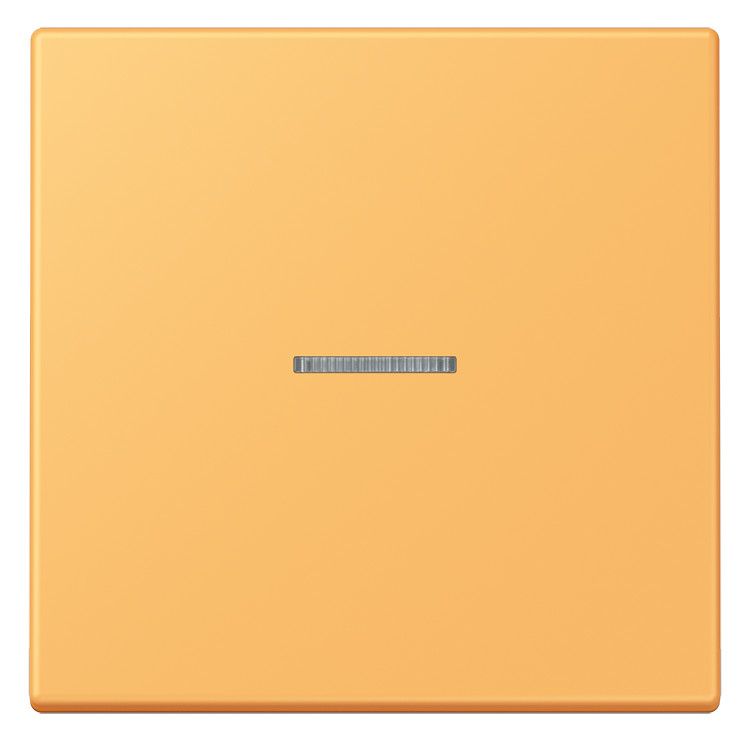 Jung LC990KO5254 Wippe f.Schalter/Taster KO LC4320L