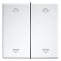 Eltako DW-FT55-rw+2P Doppelwippen 55er Design u.E-Design55 reinweiß 30000986