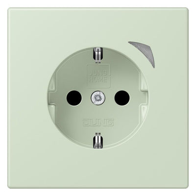 Jung BTLC1521S218 JUNG HOME SCHUKO Steckdose LC32042