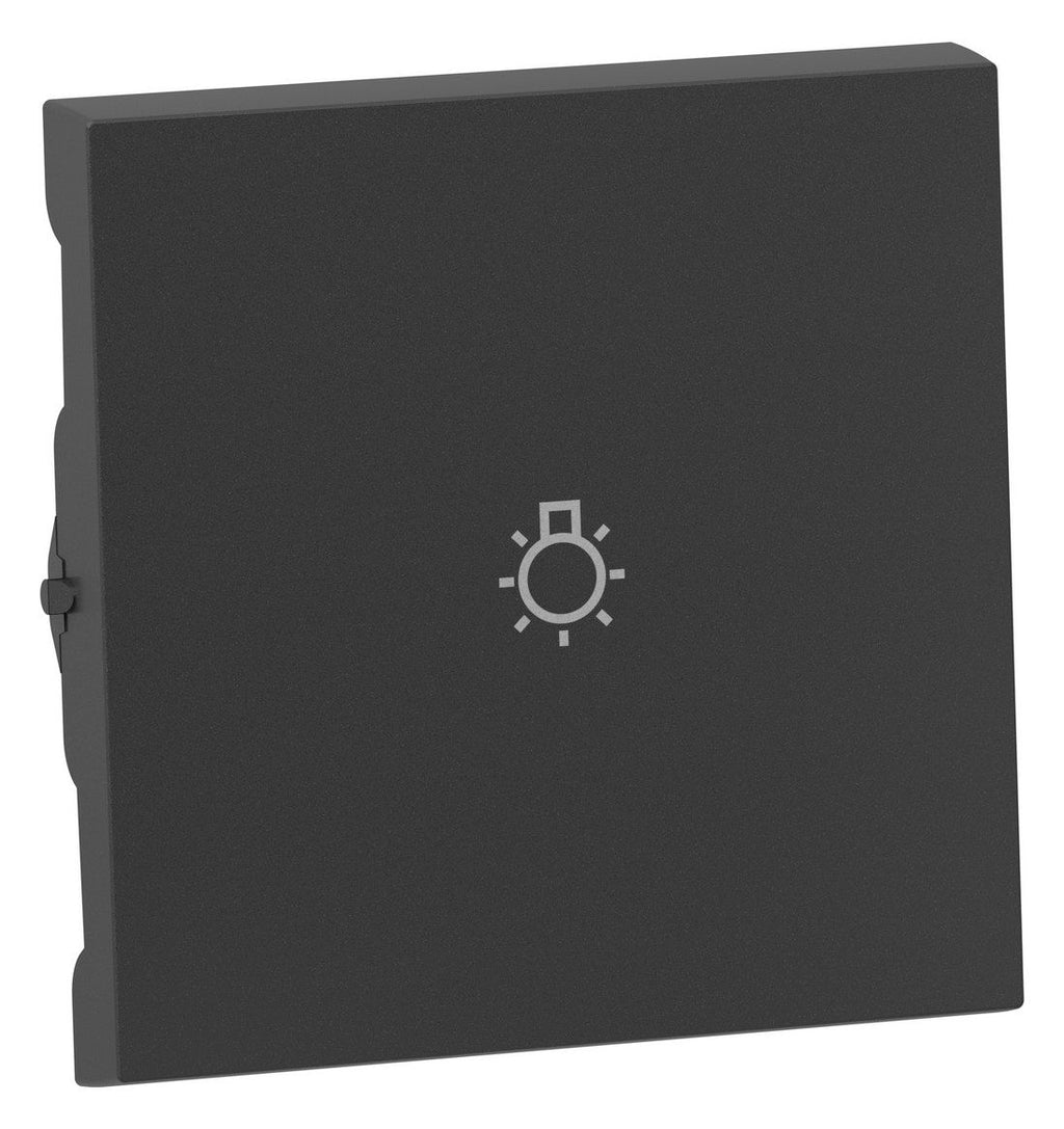 Legrand 765413 SEANO Wippe m.Symbol Licht in der Farbausführung Anthrazit