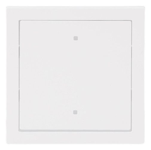 BJ 2570-10-44G Wippe f.Elektroniktaster 1-fach