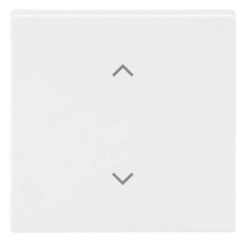 BJ 6735-11-84 Wippe 1-fach m.Symbol "Jalousie" Format 63