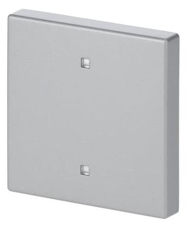 BJ 2570-10-83 Wippe Elektroniktaster