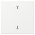 GIRA 361603 Wippe Pfeile System 55 Reinweiß