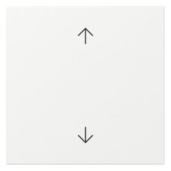 GIRA 361603 Wippe Pfeile System 55 Reinweiß
