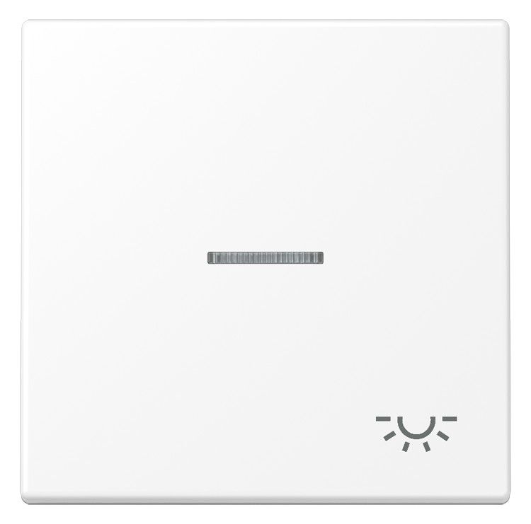 Jung LS 990 KO5 L WWM Wippe 1f m.Lichtleiter Symbol Licht Serie LS