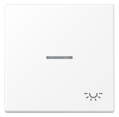 Jung LS 990 KO5 L WWM Wippe 1f m.Lichtleiter Symbol Licht Serie LS
