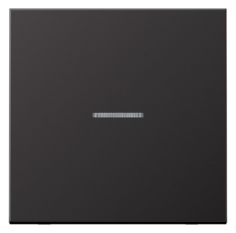 Jung AL2990KO5D Wippe Lichtleiter LS Aluminium dark