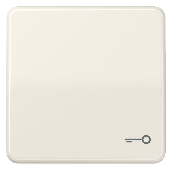 Jung CD590T Wippe Symbol Tür weiß