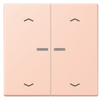 Jung LC102KO5P234 Wippe m.Lichtleiter u. Pfeilsymbolen