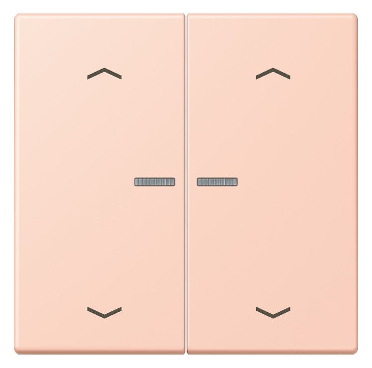 Jung LC102KO5P234 Wippe m.Lichtleiter u. Pfeilsymbolen