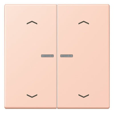 Jung LC102KO5P234 Wippe m.Lichtleiter u. Pfeilsymbolen