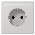 Jung LS1520KINALG SCHUKO Steckdose Schriftf. erh.Ber.schutz lichtgrau