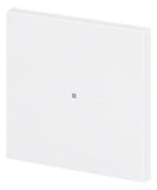 BJ 6230-10-44G Wippe 1-fach neutral o.Bedruckung