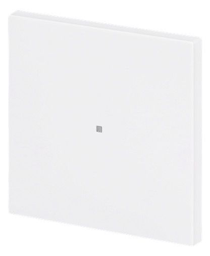BJ 6230-10-44G Wippe 1-fach neutral o.Bedruckung