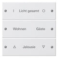 GIRA 220303 Wippenset 3fach beschreibbar System 55 Reinweiß glänzend (lackiert)